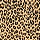 Tissue crepe turtleneck in leopard print BROWN LEOPARD